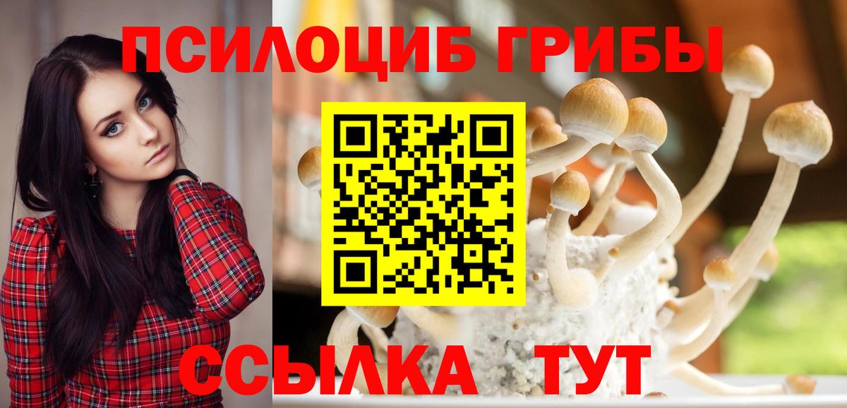 Псилоцибиновые грибы GOLDEN TEACHER  Вход с VPN  Сорочинск 