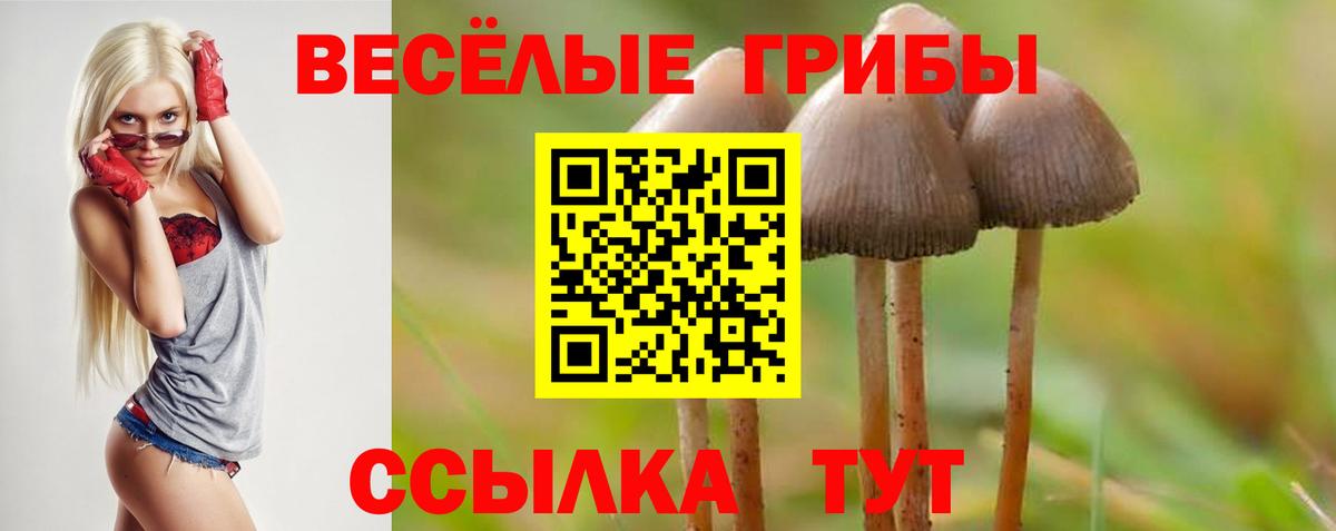 Псилоцибиновые грибы ЛСД Сорочинск